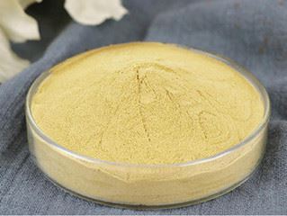 ginger extract water soluble