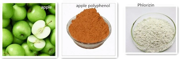 apple extract