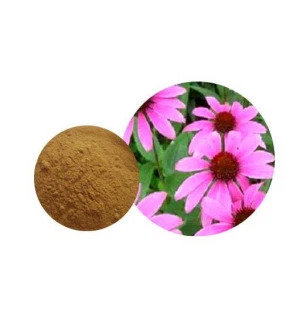 Coneflower ekstrakt