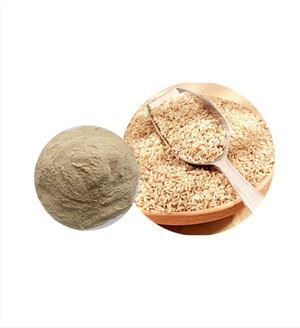 Økologisk brun ris protein