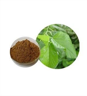 Økologisk Mulberry Leaf Extract