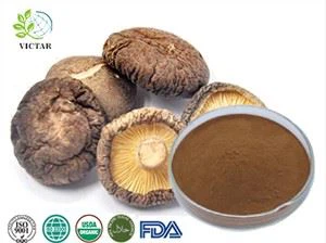 Shiitake Mushroom Extract