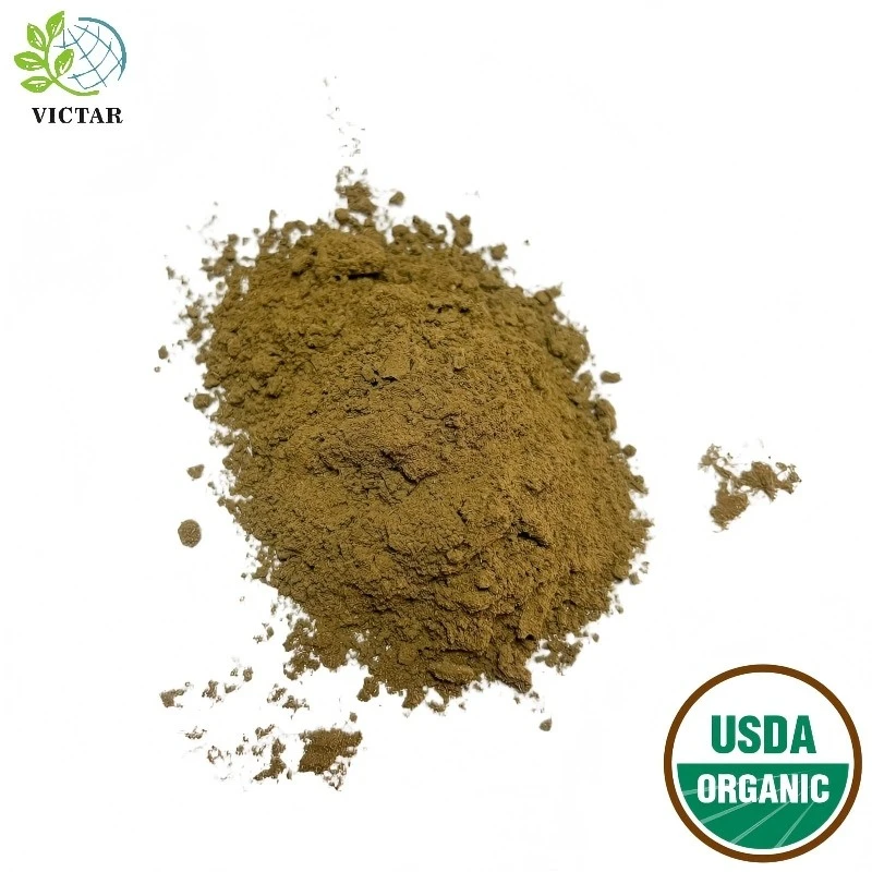Økologisk oregano pulver