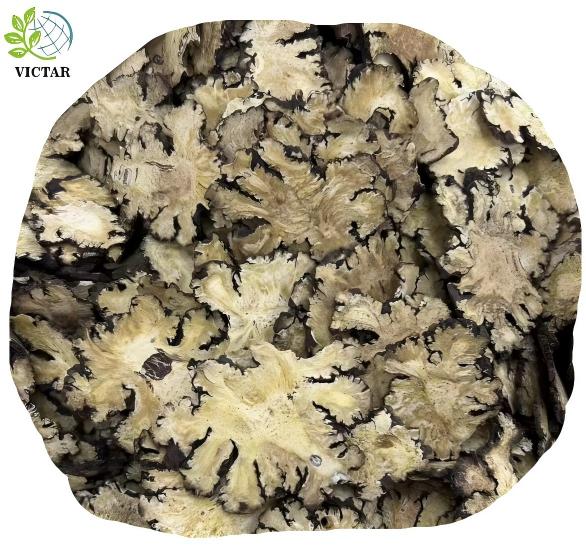 product-586-553