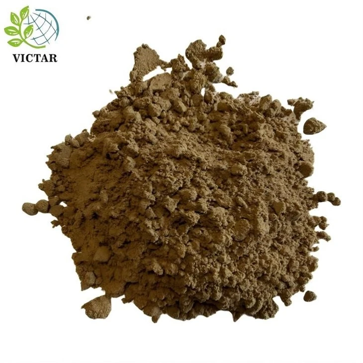 Rhizoma Chuanxiong pulver